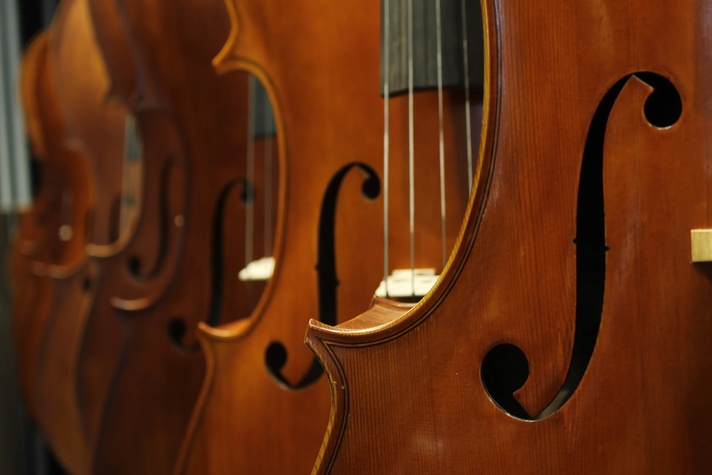 Row of string instruments.